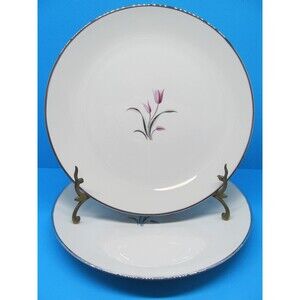 Franciscan Carmel Dinner Plates Set of 2 Pristine Condition 10.5"